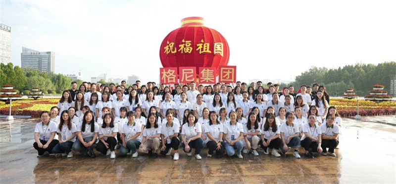 multi fuel log burner multi fuel log burner